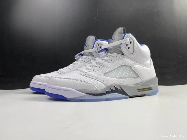 Stealth Air 5 (2021) Jordan White DD0587-140 Retro 0819